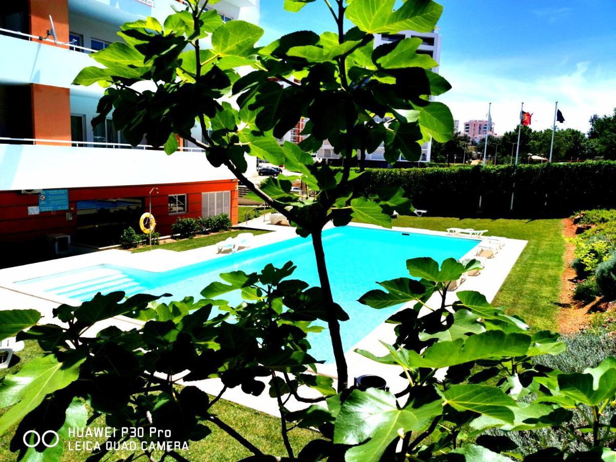 Apartamento Jeni Residencia Flamingo ปอร์ติเมา ภายนอก รูปภาพ